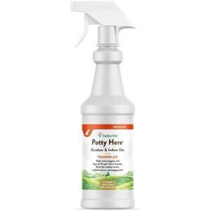 Potty Here Training Aid Spray | Attractive Scent Helps Train Puppies & Dogs